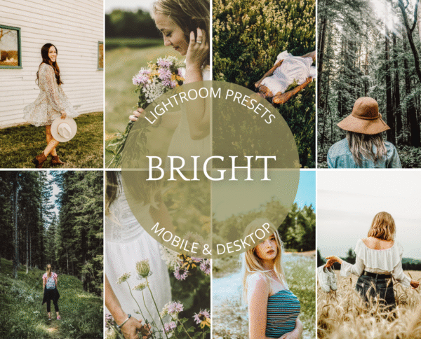 Masters Presets Bundle 1600+ - Image 10