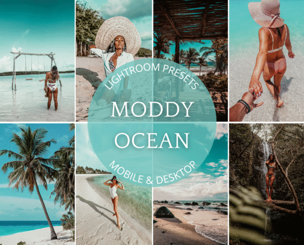 Masters Presets Bundle 1600+ - Image 28
