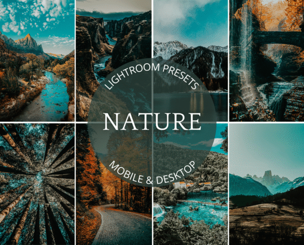 Masters Presets Bundle 1600+ - Image 31