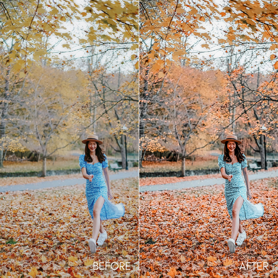 Fall Tones Collection 54+ Premium Lightroom Presets - Image 2